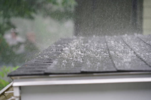 Best Roof Insulation Installation  in Prospect, PA